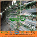 High quality wire mesh quail cages for farm